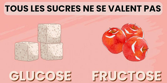 Glucose vs Fructose : comprendre la différence | ELSY