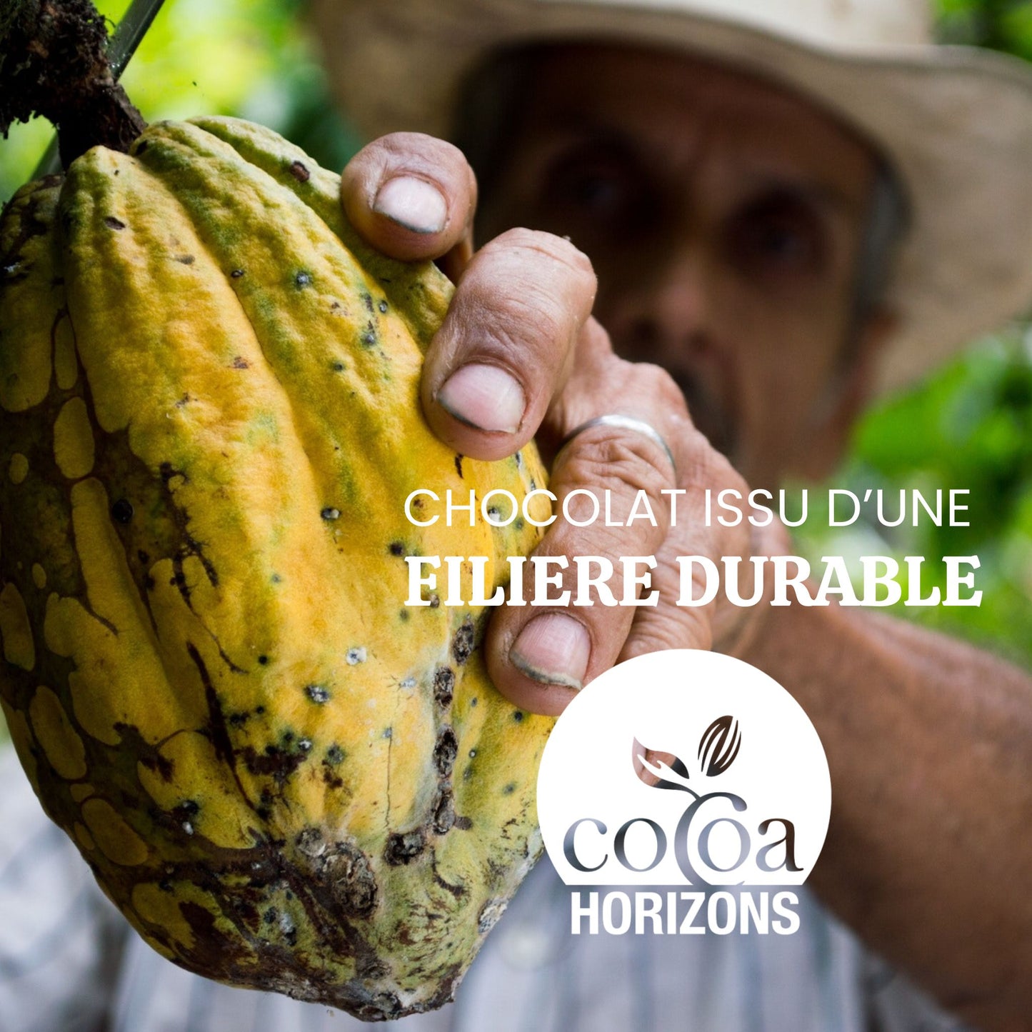 Offre découverte