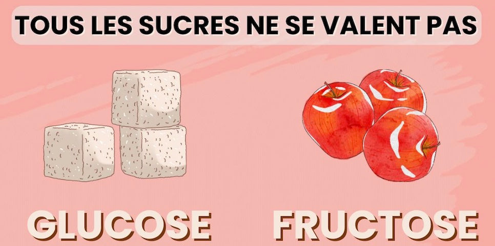 Glucose vs Fructose : comprendre la différence | ELSY