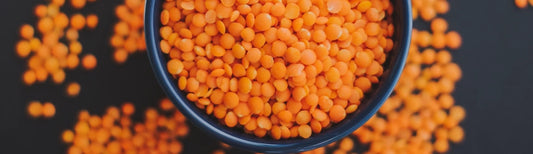 Le corail vous va si bien !