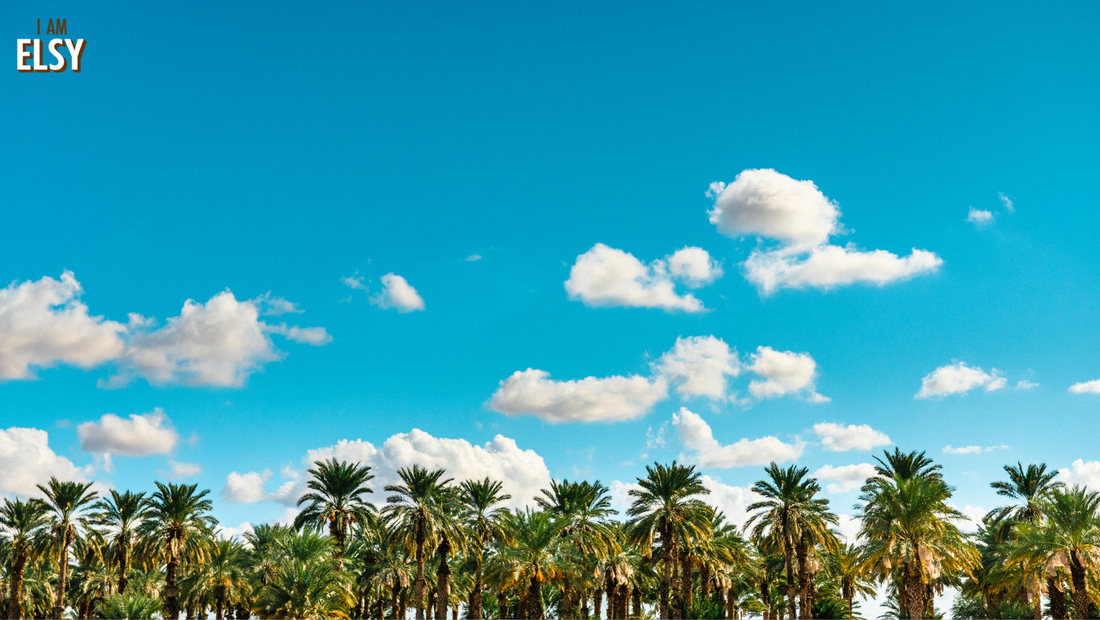 L'Huile de palme et pourquoi ELSY choisit de s'en passer 🌴